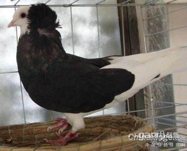 hth·华体(中国区)官方网站