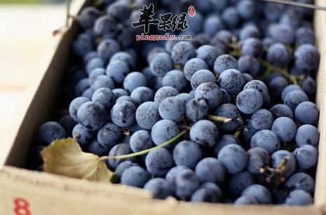 hth·华体(中国区)官方网站