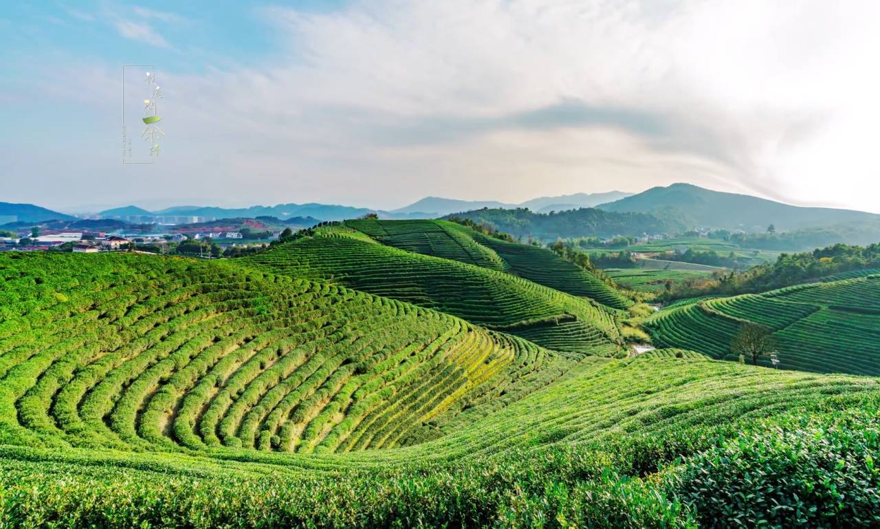 hth·华体(中国区)官方网站