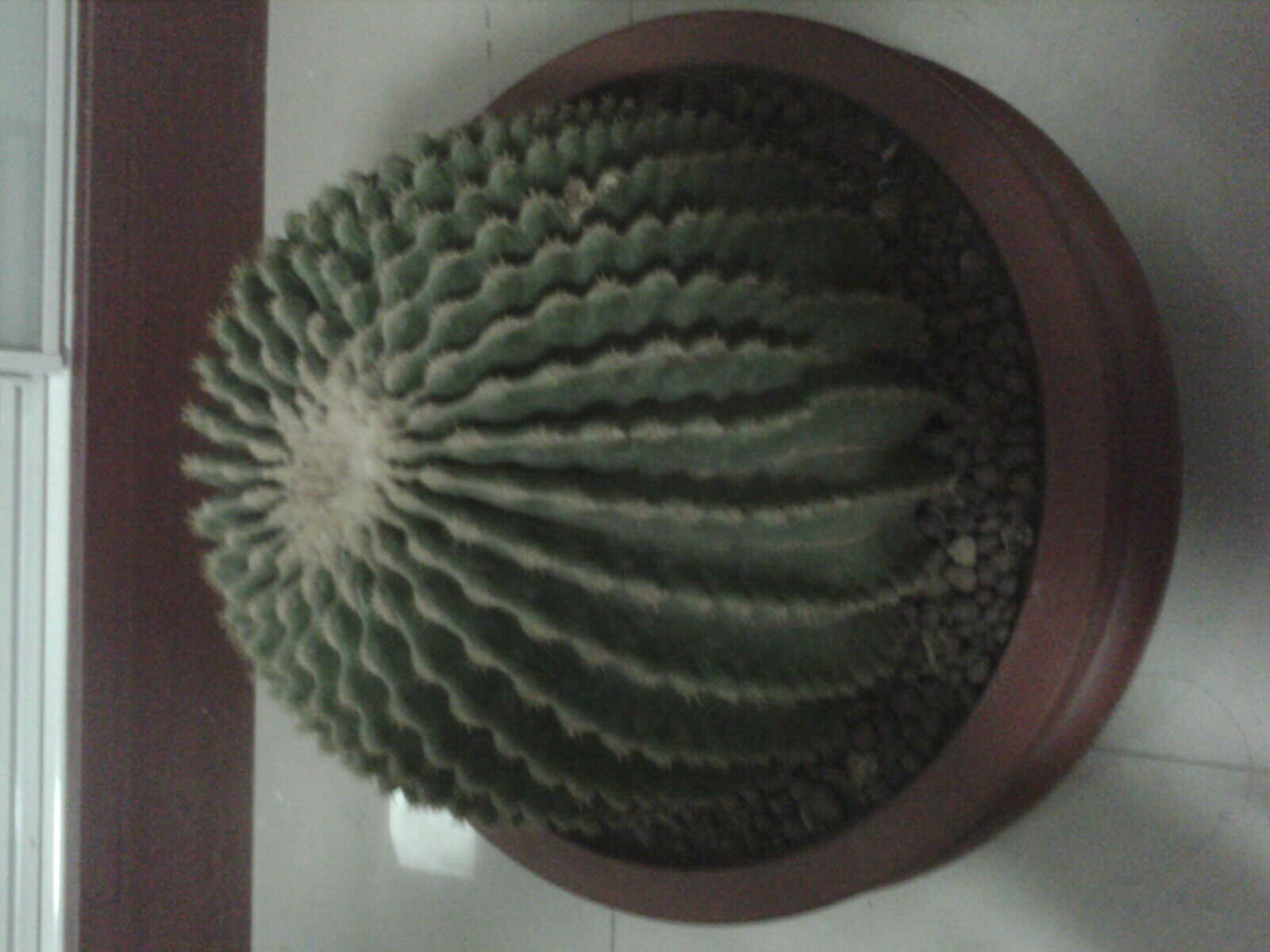 hth·华体(中国区)官方网站