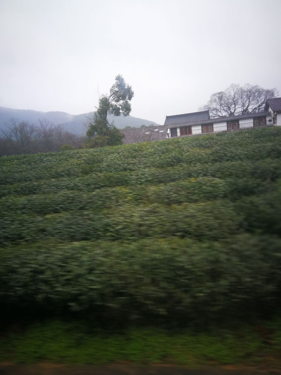 hth·华体(中国区)官方网站