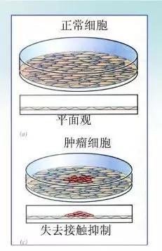 hth·华体(中国区)官方网站