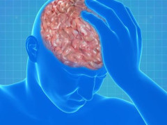 hth·华体(中国区)官方网站