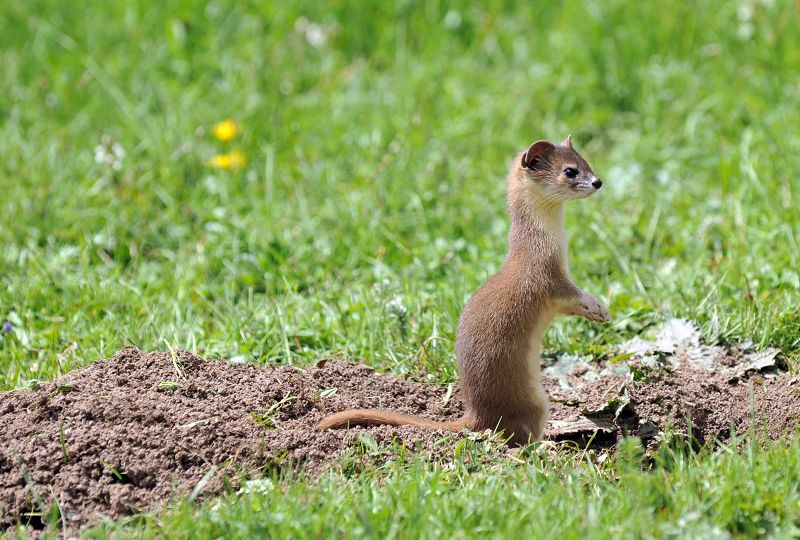 hth·华体(中国区)官方网站